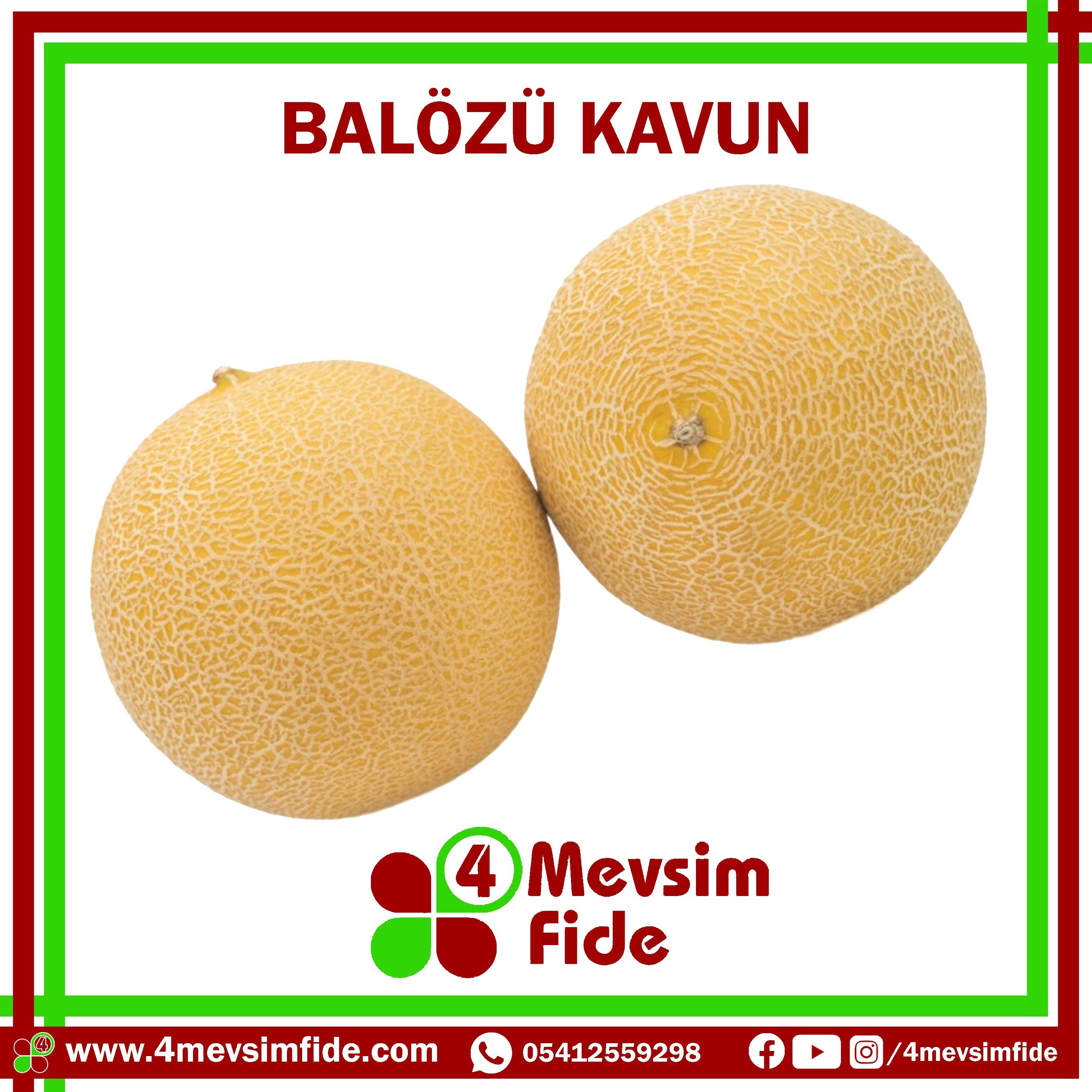 balözü f1 kavun fidesi